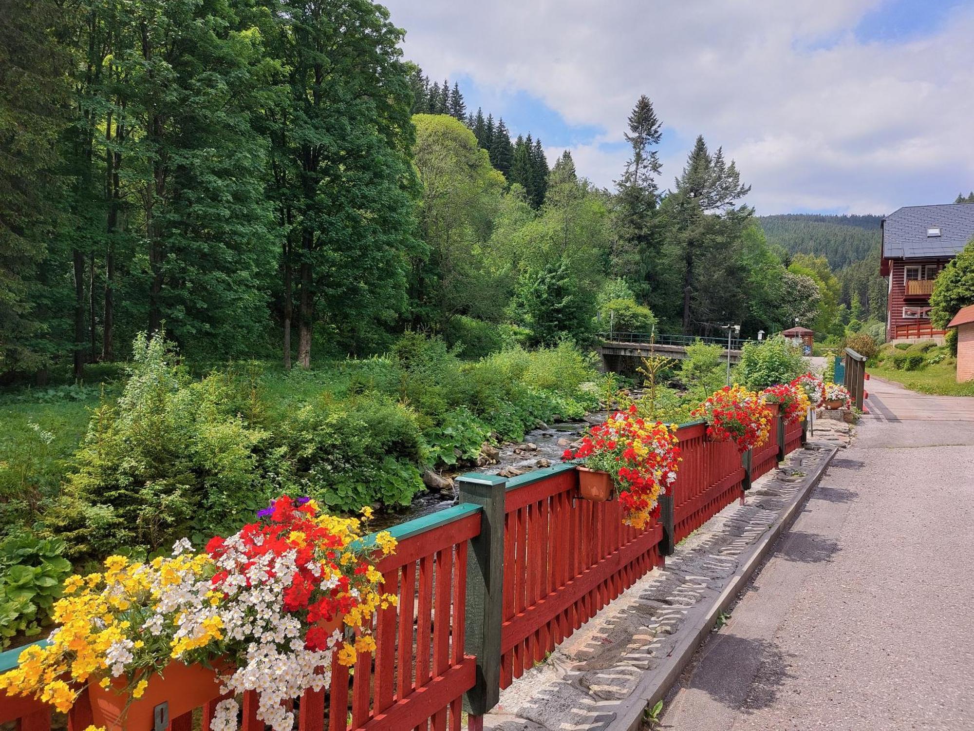 Pension Modrá Hvězda Dolni Mala Upa Exterior foto