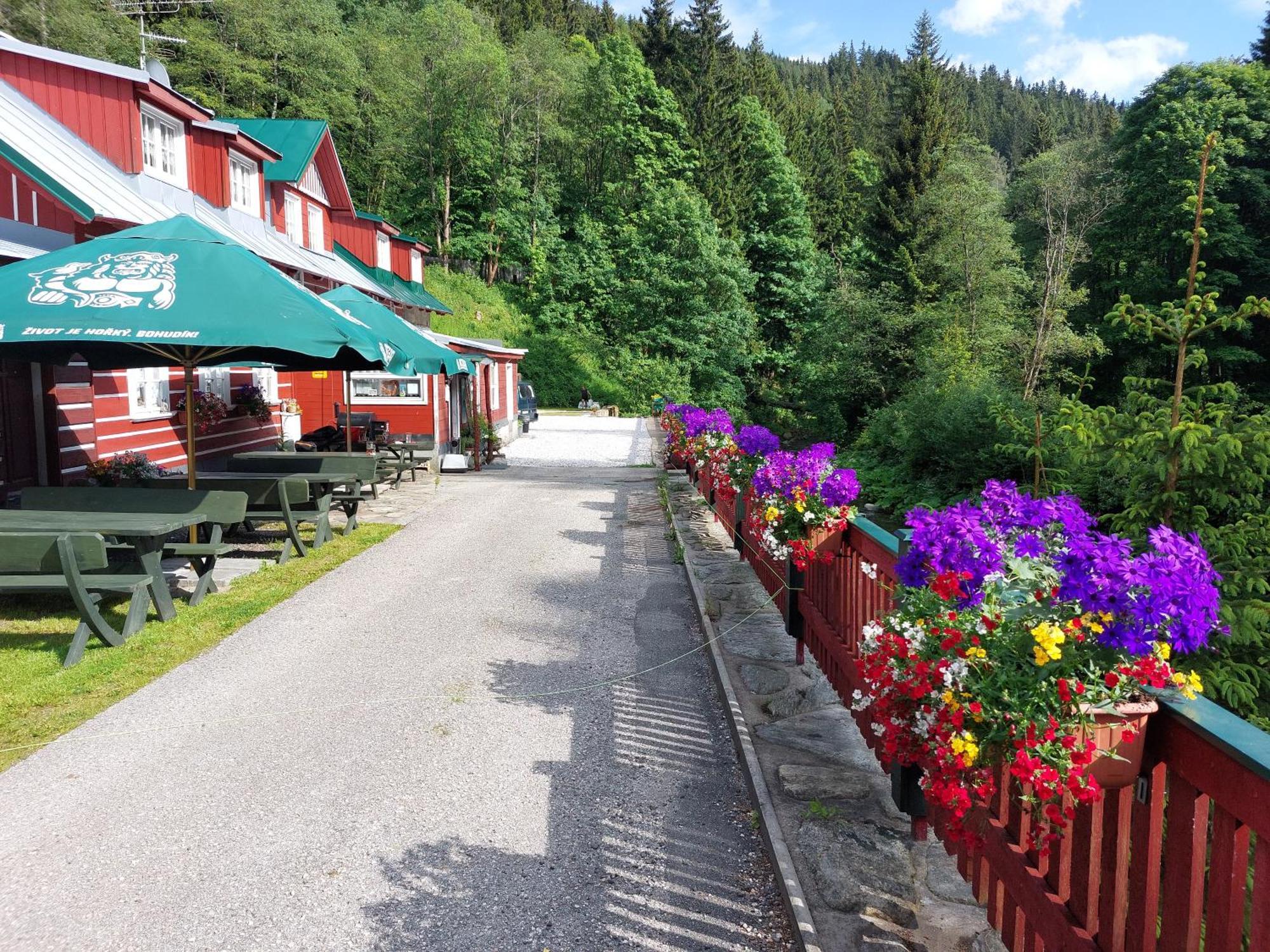 Pension Modrá Hvězda Dolni Mala Upa Exterior foto